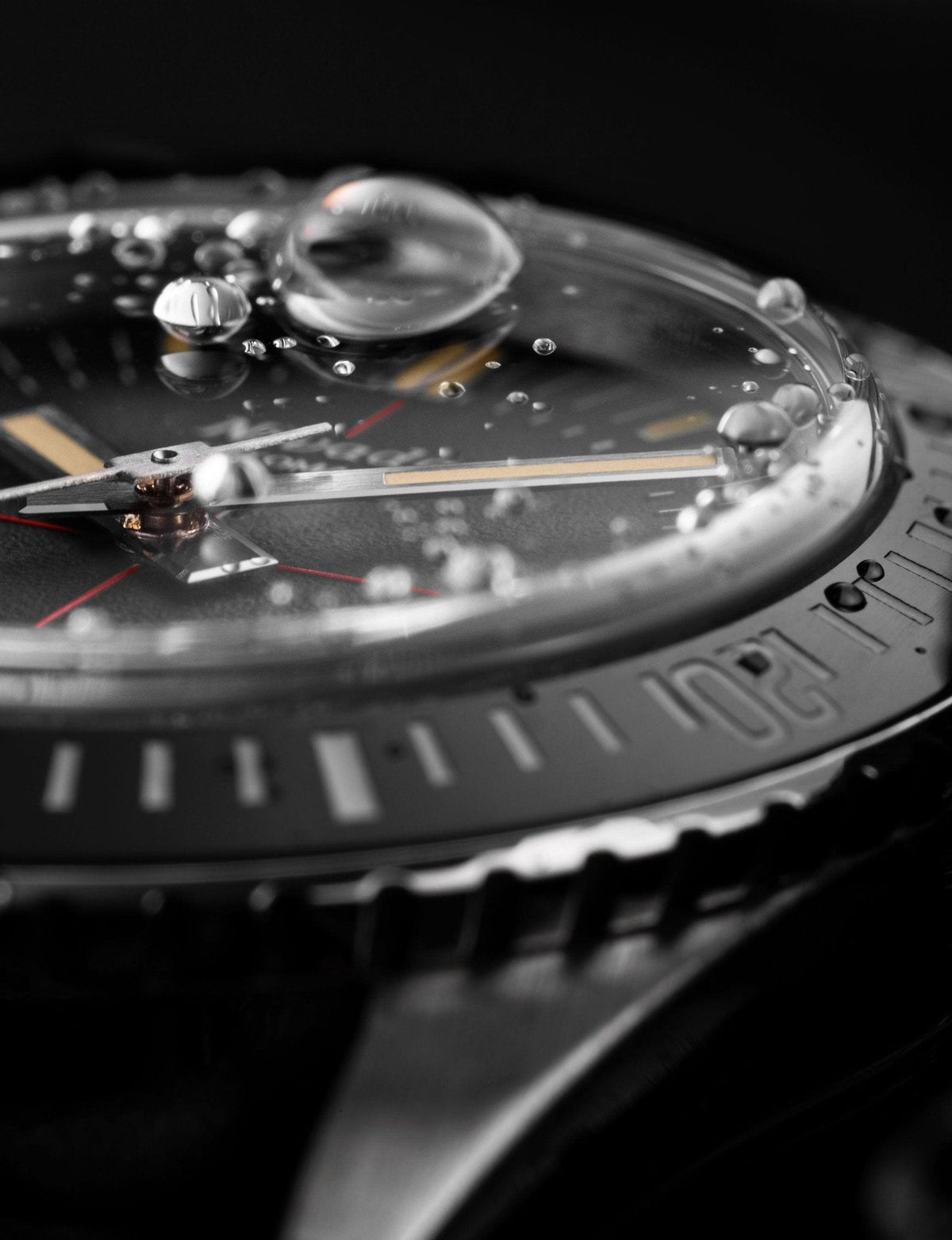 ANTARCTIC DIVER - 38mm